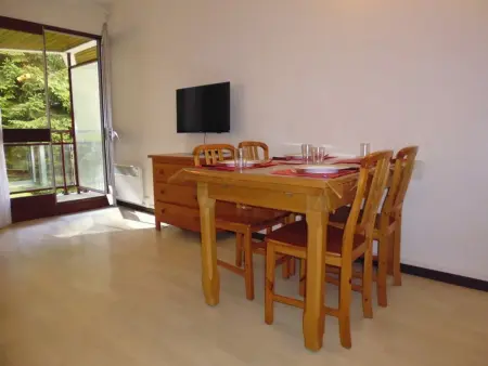 Studio 30 m² Gourette, balcon, 4 pers., près des pistes : photo 4