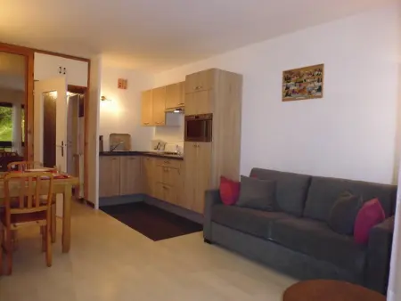 Studio 30 m² Gourette, balcon, 4 pers., près des pistes : photo 5