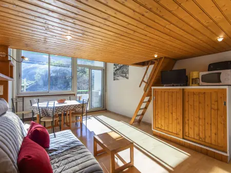Studio 30m² balcon montagne Anglas, Gourette : photo 8