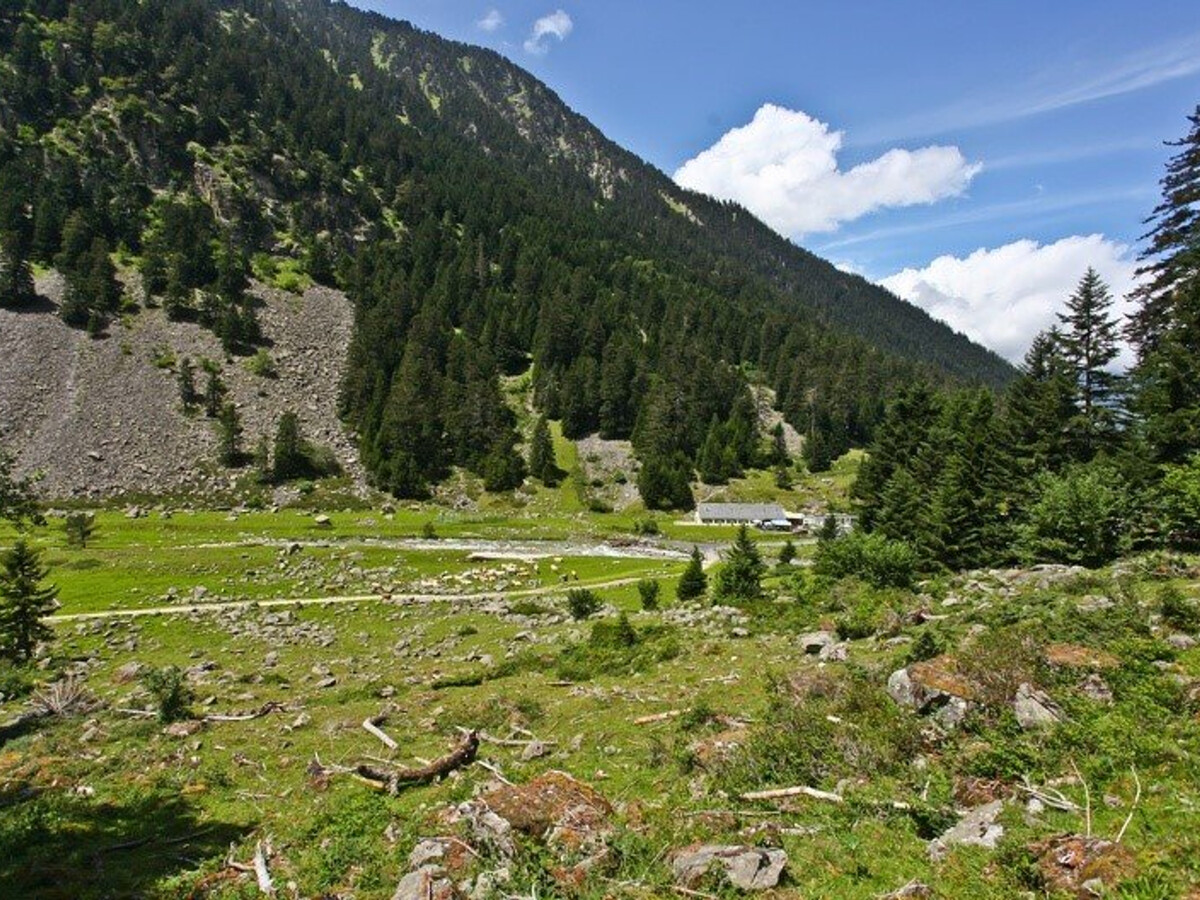 T2 cabine 6 pers, balcon EST, parking, centre Cauterets - Photo 11