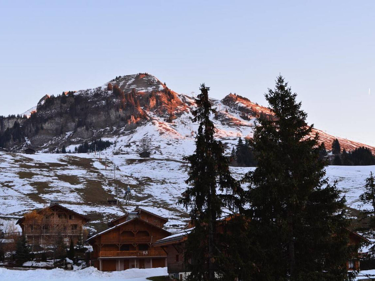 T2 Cabine Balcon Sud - 700m des Pistes - Photo 16