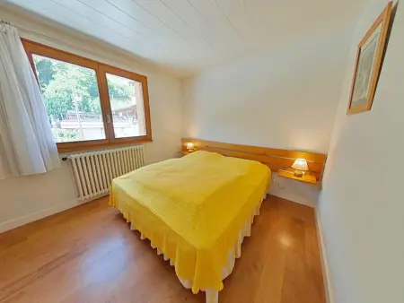 Appt 3 pièces mezzanine, 6 couchages, vue pistes ski : photo 12