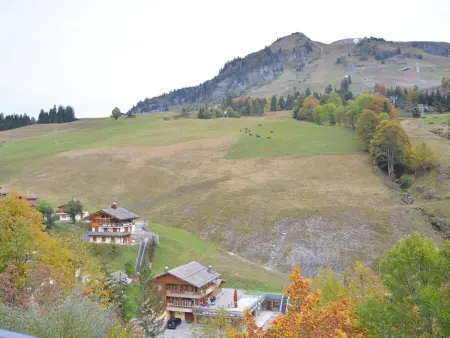 Appt 3 pièces mezzanine, 6 couchages, vue pistes ski : photo 24