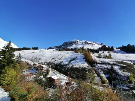 Appt 3 pièces mezzanine, 6 couchages, vue pistes ski : photo 25