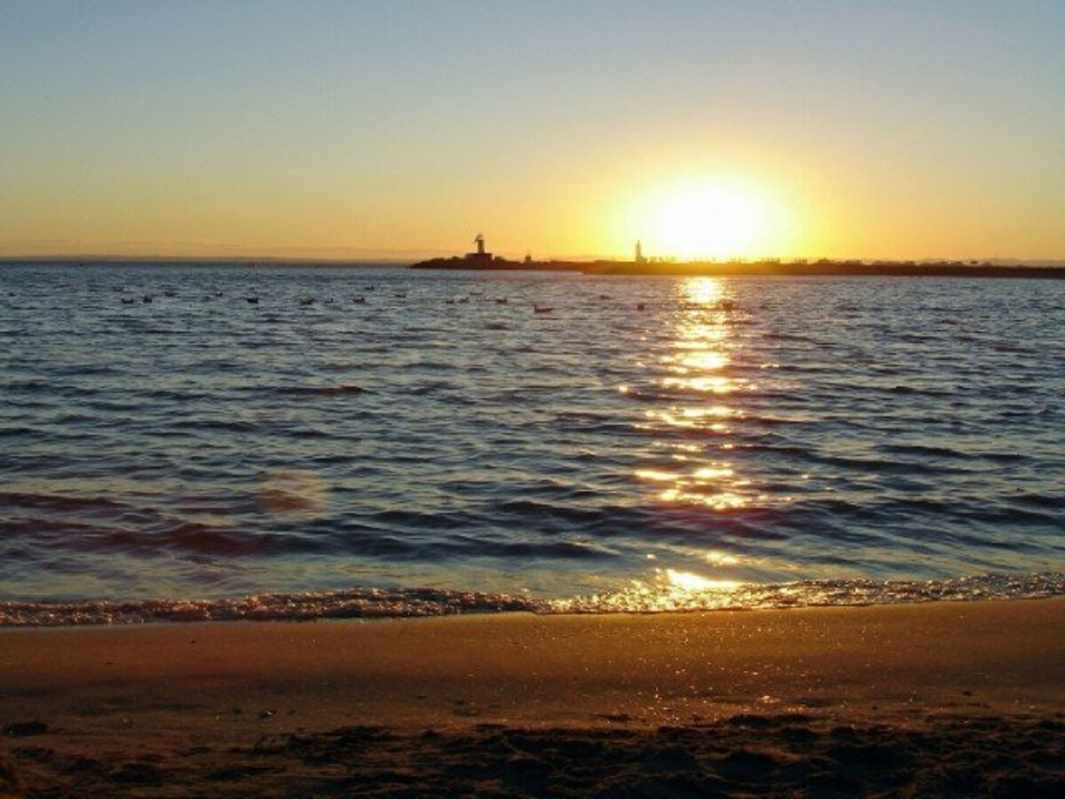 Appartement 2 pièces Marseillan-Plage, piscine et plage - Photo 15