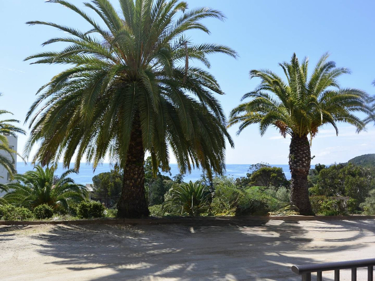 Appartement avec piscine, plage à pied, animaux acceptés - Photo 3
