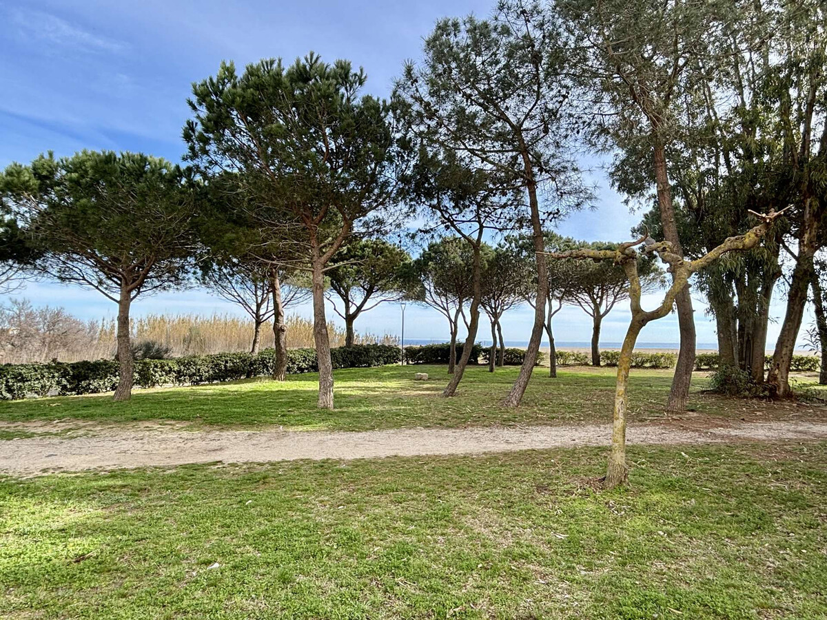 Studio cabine 4 pers. accès direct plage, Argelès - Photo 5