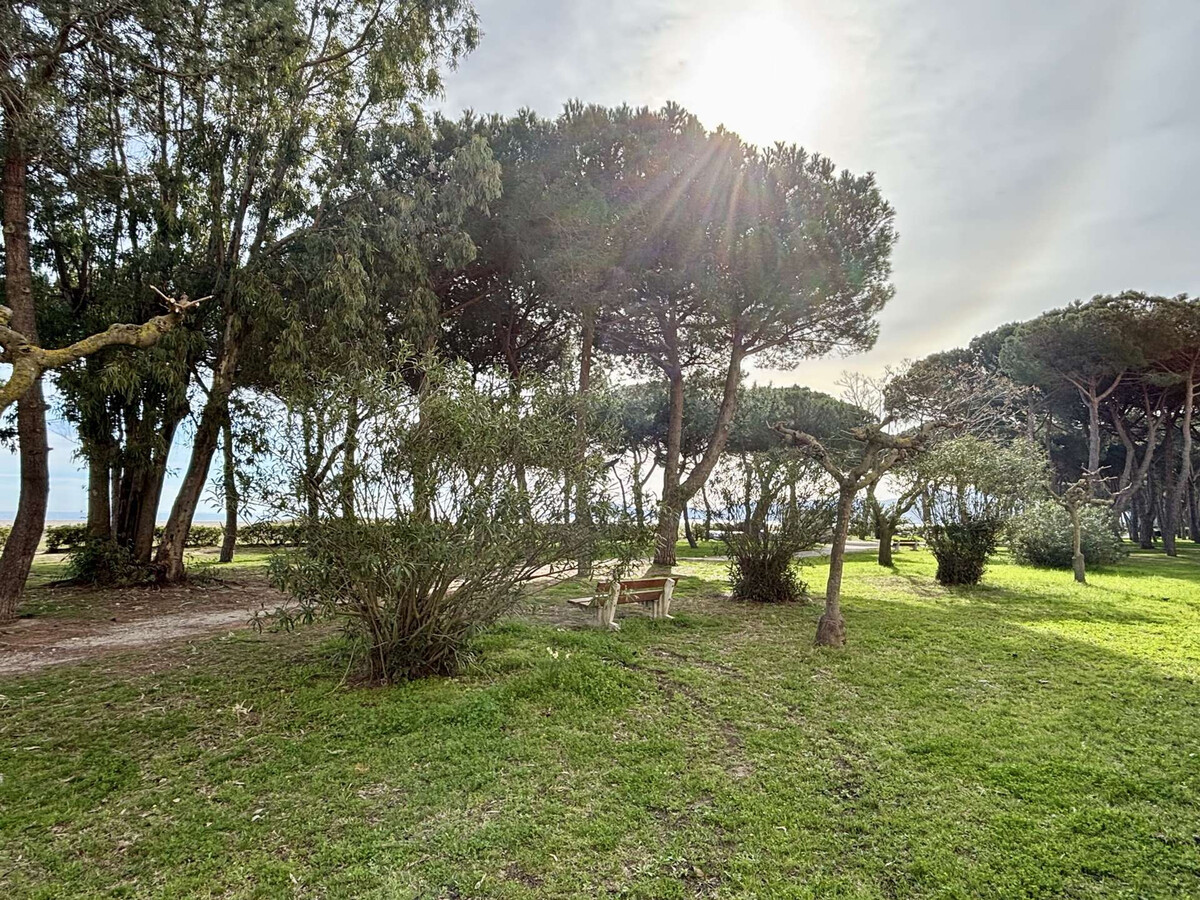 Studio cabine 4 pers. accès direct plage, Argelès - Photo 6