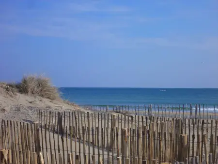 Appartement rénové 4 pers. proche plage, calme, parking, animaux acceptés - Photo 13