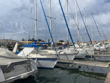 Studio 4 pers avec piscine et parking à Cap d'Agde : photo 3