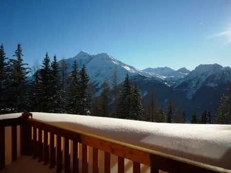 Appartement 2 pièces, 150m des remontées, parking et skis : photo 8