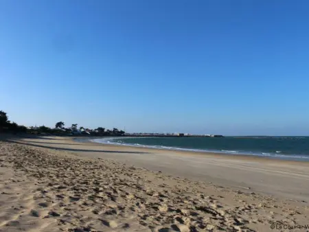 Appart 3 pièces vue mer à L'Herbaudière - Photo 18