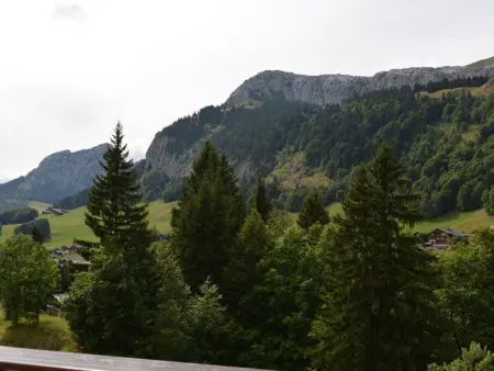 Appartement au pied des pistes, Le Grand-Bornand : photo 16
