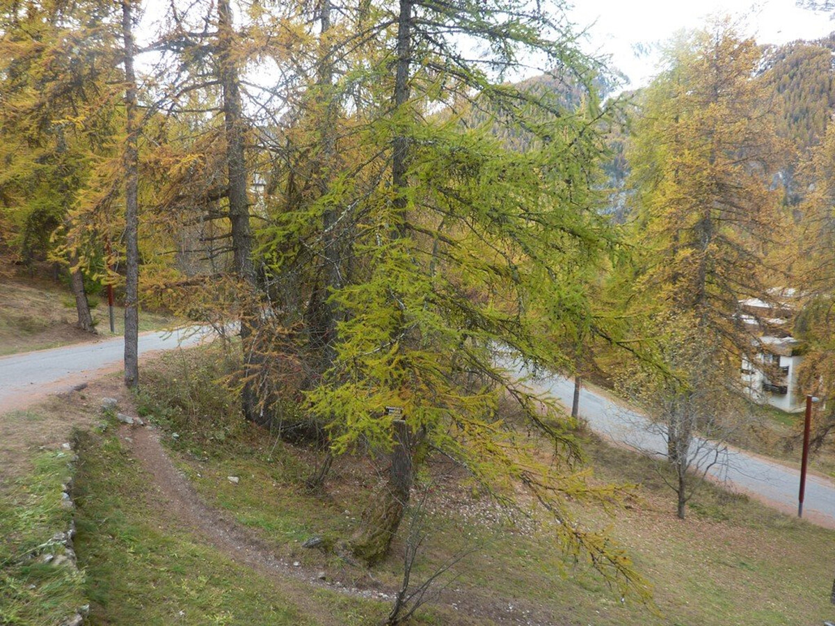 Appartement 6 pers aux Orres, balcon forêt, centre à 200m - Photo 11