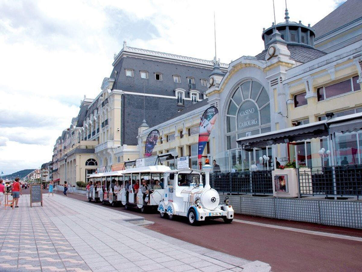 T2 Cabourg avec balcon verdoyant, parking & animaux - Photo 10