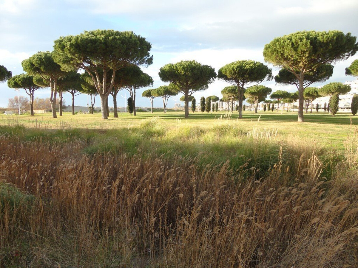 Studio cabine climatisé 4 pers, plage à 5 min - Photo 11