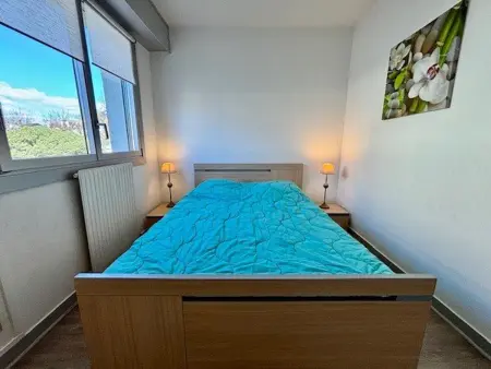 Quiberon - Appartement 2P avec Terrasse et Animaux Acceptés - Photo 7