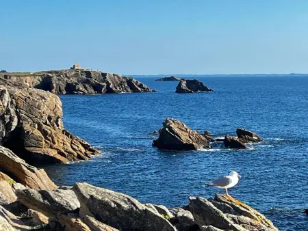 Studio calme à Quiberon avec parking, proche plage - 38m² - Photo 11