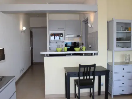 Studio rénové vue mer Baie des Anges à Villeneuve-Loubet : photo 3