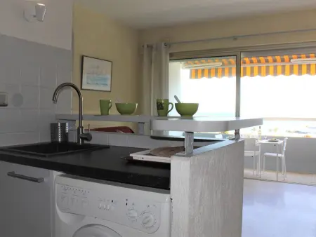 Studio rénové vue mer Baie des Anges à Villeneuve-Loubet : photo 7