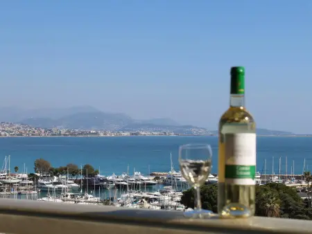 Studio rénové vue mer Baie des Anges à Villeneuve-Loubet : photo 13