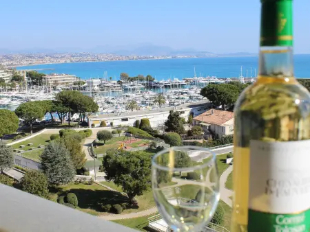 Studio rénové vue mer Baie des Anges à Villeneuve-Loubet : photo 14