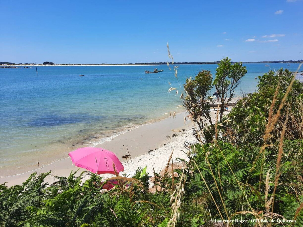 Studio cabine Carnac 22m² vue mer, 4 pers. - Photo 17