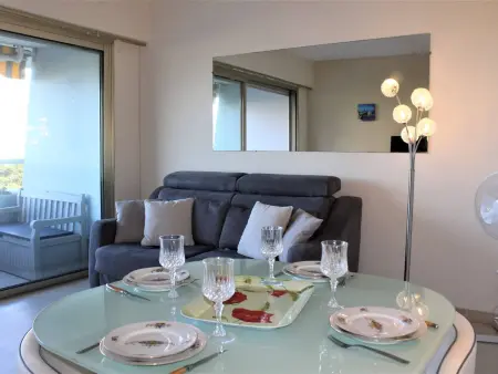 Appartement 2P bord de mer, vue port à Villeneuve-Loubet : photo 7