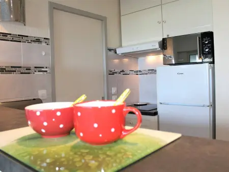 Appartement 2P bord de mer, vue port à Villeneuve-Loubet : photo 9