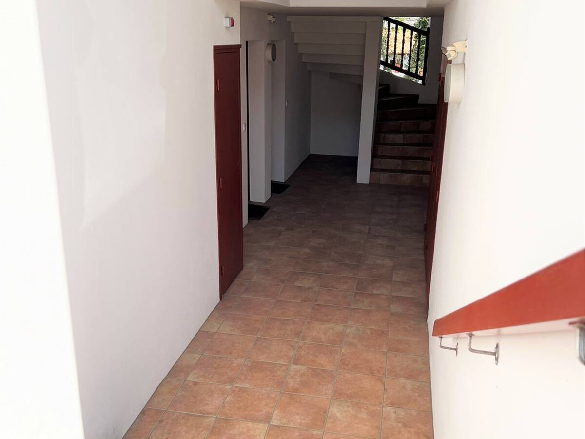 Appartement RDC Cambo-les-Bains, terrasse et piscine - Photo 3