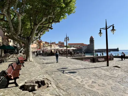 Studio vue mer en centre historique de Collioure : photo 17