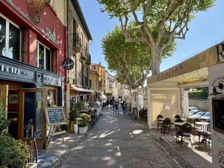 Studio vue mer en centre historique de Collioure : photo 18
