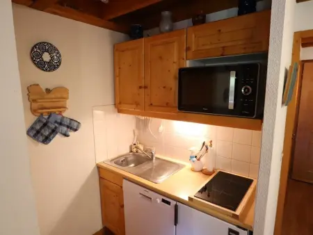 Duplex cosy et spacieux avec piscine et balcon proche des pistes pour 4-5 personnes à Arêches-Beaufort - Photo 1