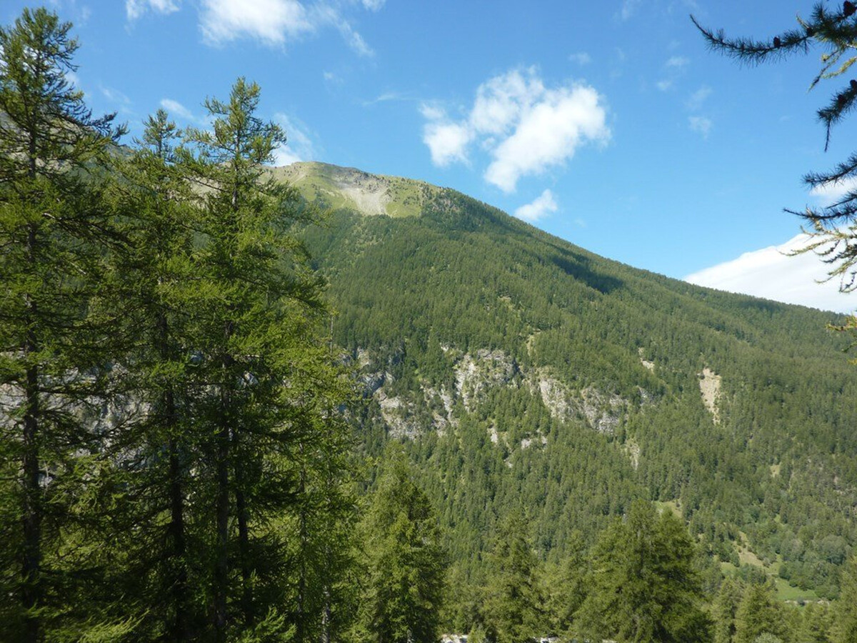 Appartement 4 pers. skis aux pieds, piscine, balcon vue vallée - Photo 11