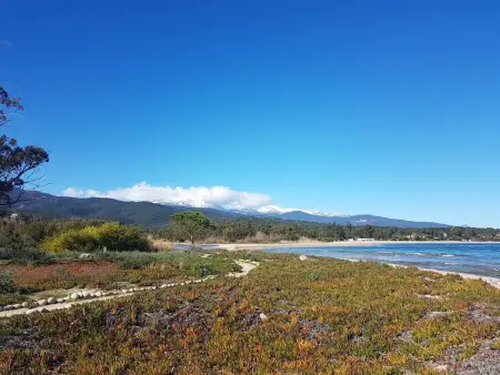 T3 climatisé avec piscine à 150m de la plage : photo 17