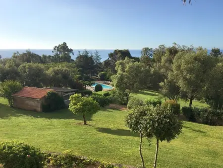 Studio vue mer avec piscine à Sari-Solenzara : photo 9