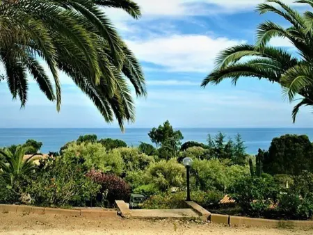 Studio vue mer avec piscine à Sari-Solenzara : photo 10