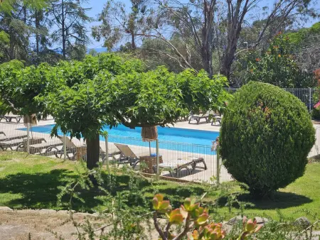 Studio vue mer avec piscine à Sari-Solenzara : photo 13