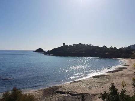 Appartement F4 vue mer à Sainte Lucie de Porto-Vecchio - Photo 18
