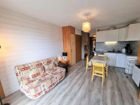 Studio 4 pers, terrasse sud-ouest - Saint-Michel-de-Chaillol : photo 9