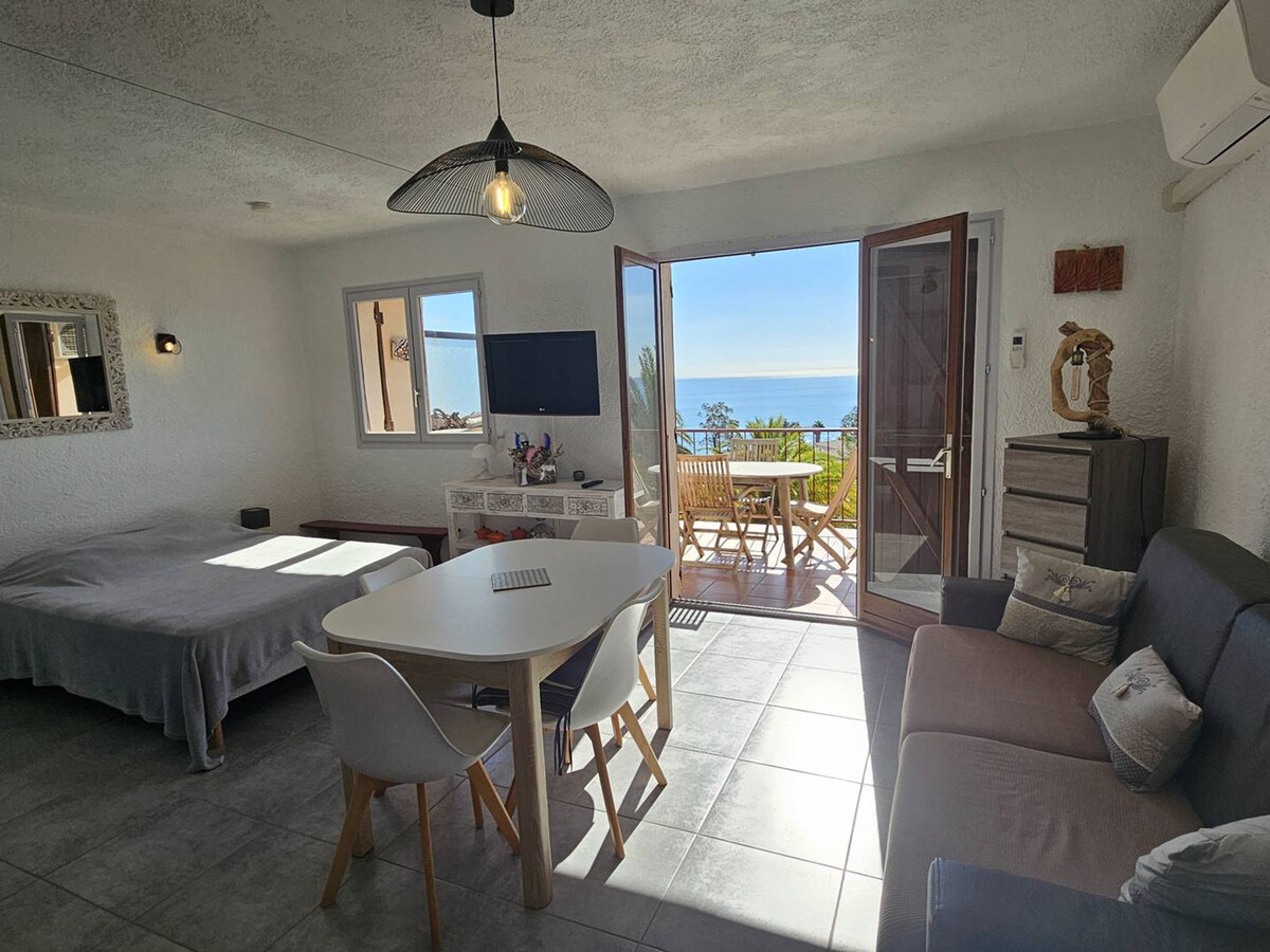 Studio vue mer climatisé à Sari-Solenzara, 200m de la plage - Photo 5