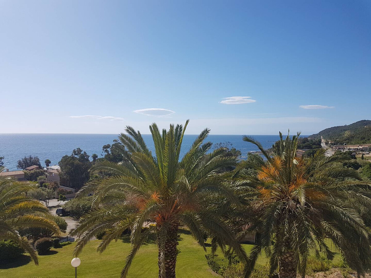 Studio vue mer climatisé à Sari-Solenzara, 200m de la plage - Photo 12