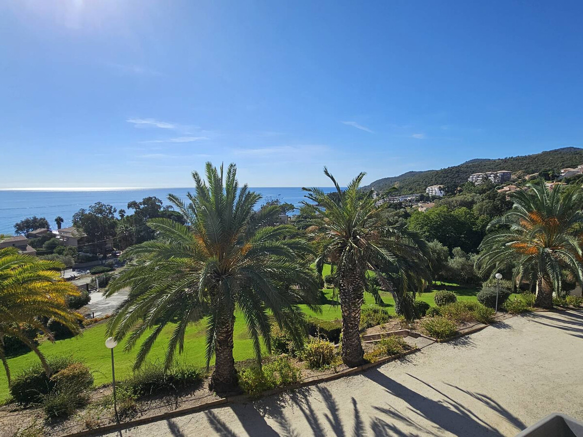 Studio vue mer climatisé à Sari-Solenzara, 200m de la plage - Photo 18