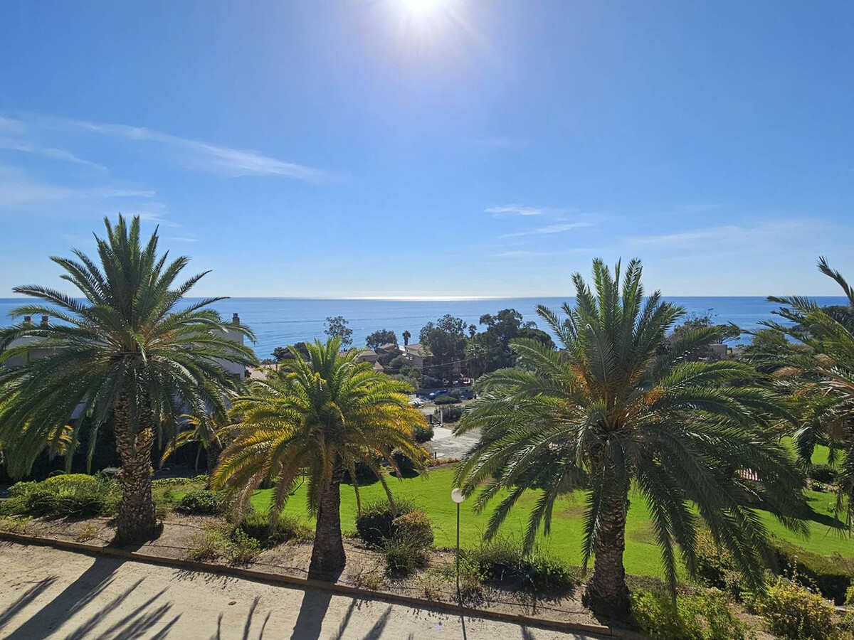 Studio vue mer climatisé à Sari-Solenzara, 200m de la plage - Photo 19