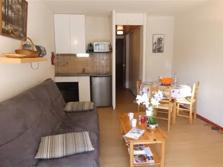 Location appartement à Saint Lary Soulan, Appartement T2 pour 4 à 5 pers, Saint-Lary-Soulan, cuisine équipée, balcon sud, proche services et loisirs