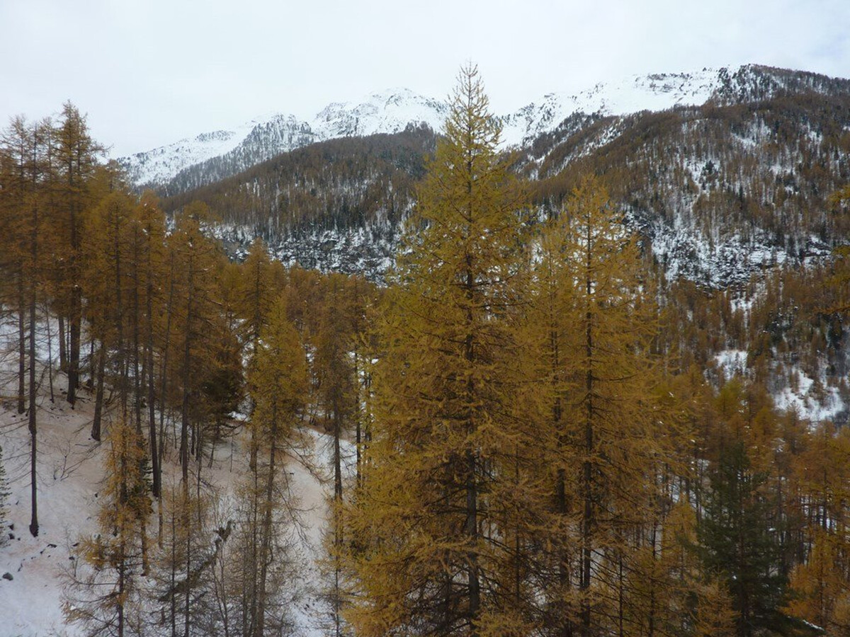 Studio 4 pers aux Orres, balcon sud, accès direct aux pistes - Photo 8
