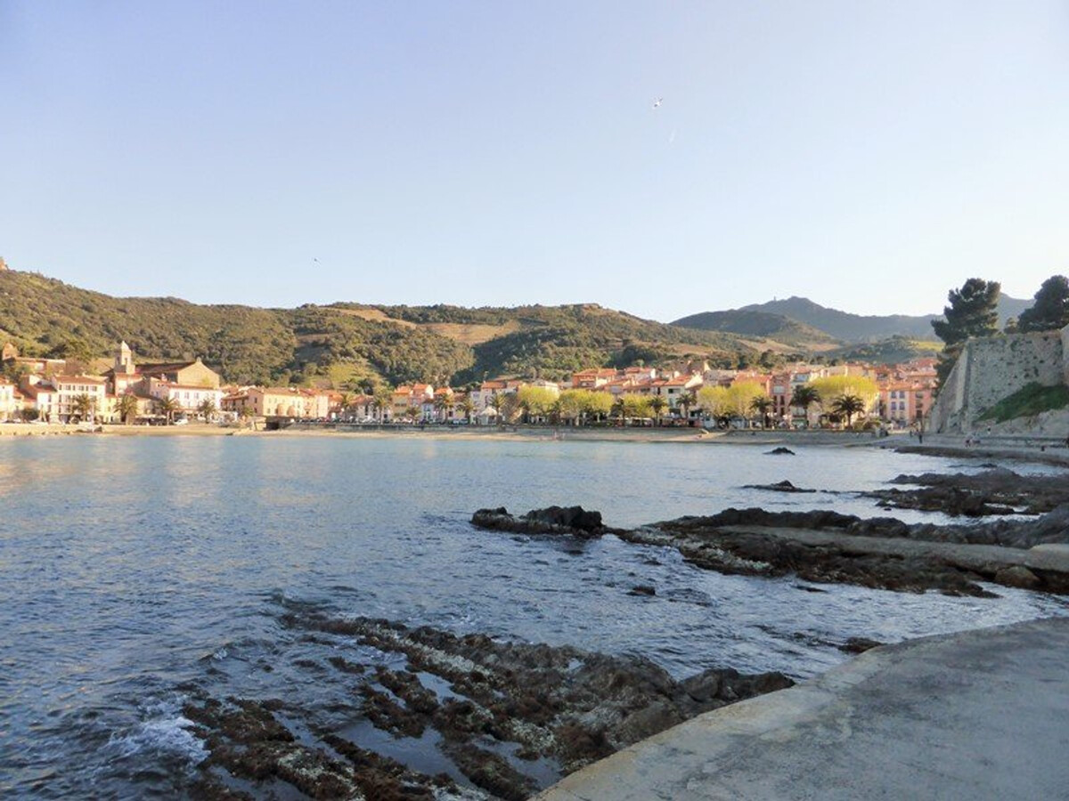 F2 cabine Collioure, terrasse et parking privé - Photo 17