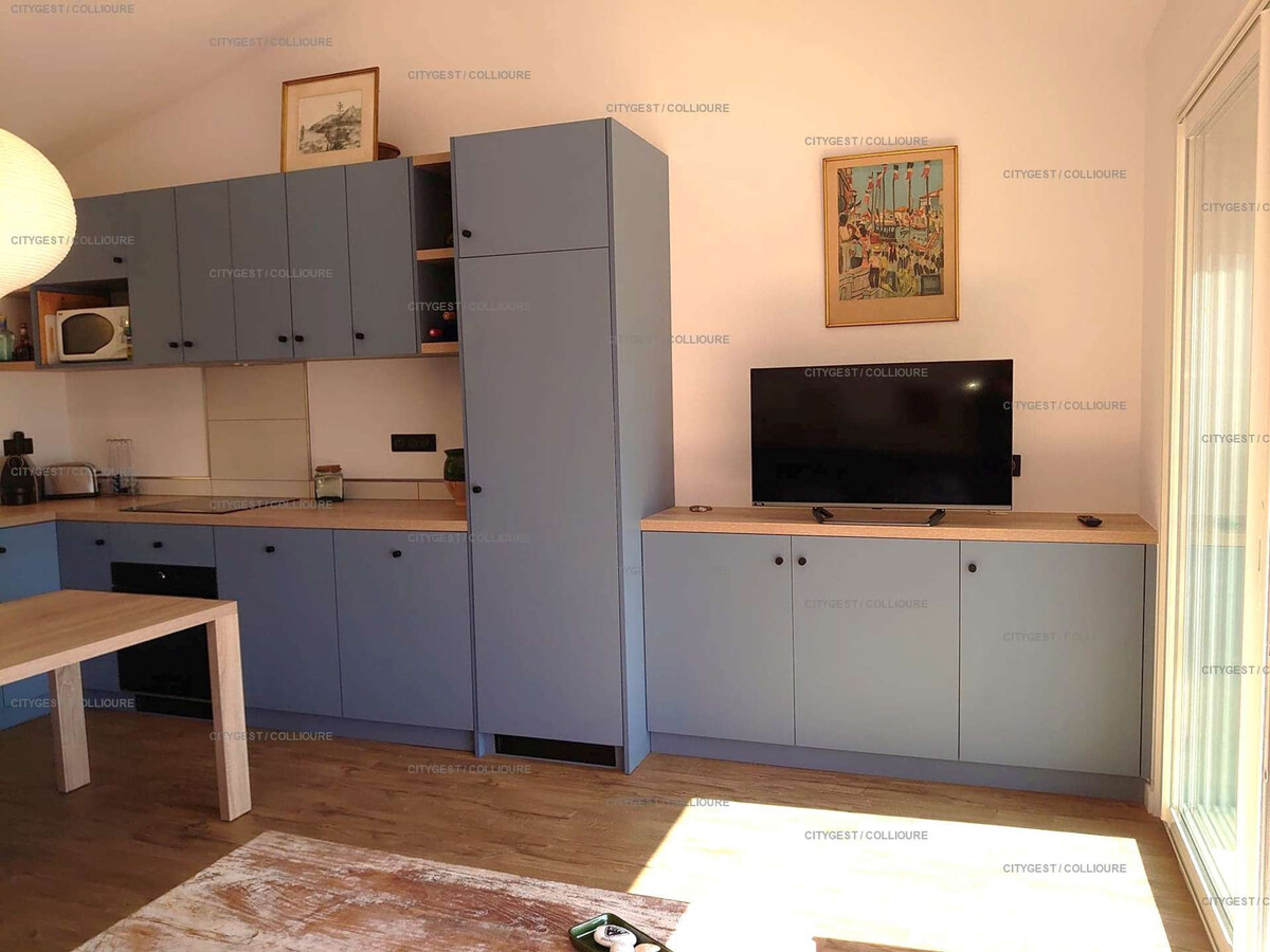 F2 Collioure, terrasse 45m² et garage privé - Photo 6