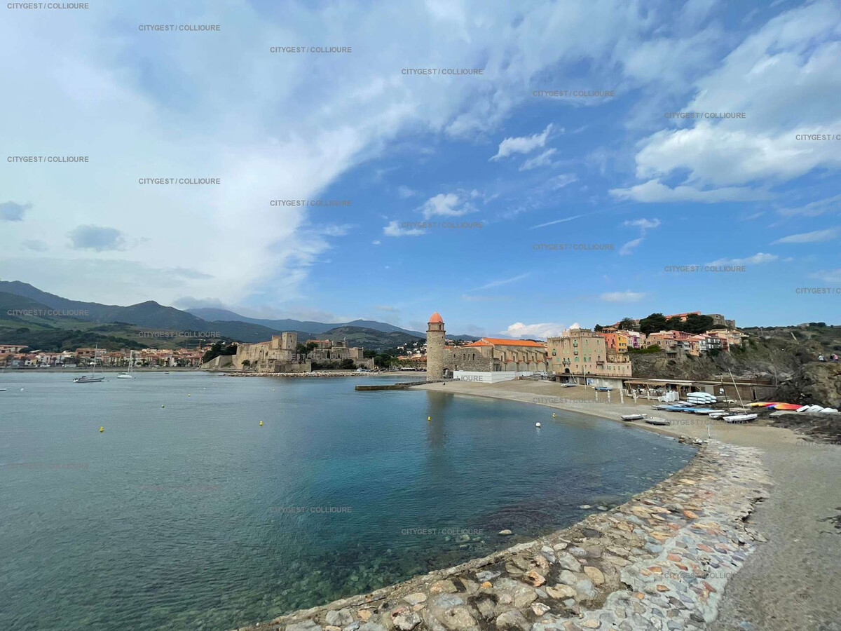 F2 Collioure, terrasse 45m² et garage privé - Photo 17