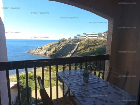 F2 rénové vue mer à 50m de la plage, Port-Vendres : photo 9